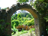 arch at ventnor 200